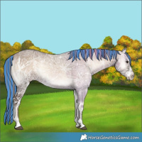 Horse Color:Painted Liver Red Dun Ice Onyx Sabino 