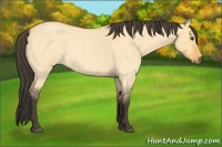 Horse Color:Buckskin Roan Dun 