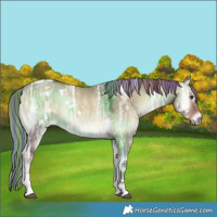 Horse Color:Painted White Spotted Liver Red Dun Ice Onyx Tobiano 