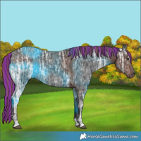 Horse Color:Painted Liver Chestnut Ice 