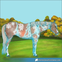 Horse Color:Thunderstruck Chocolate Palomino Ice Sabino Splash 