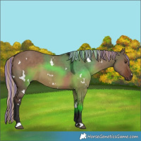 Horse Color:Painted White Spotted Liver Red Dun 