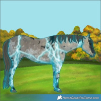 Horse Color:Void Thunderstruck White Spotted Liver Chestnut Ice Splash 