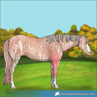 Horse Color:Painted Gold Champagne Ice 