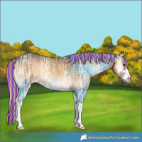 Horse Color:Painted Chocolate Palomino Ice Onyx 
