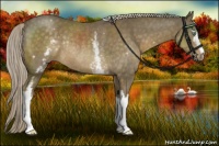 Horse Color:White Spotted Chocolate Palomino Mushroom Rabicano 