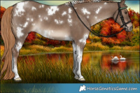 Horse Color:White Spotted Liver Red Dun Tobiano 