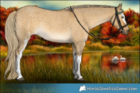 Horse Color:White Spotted Chocolate Palomino Roan Dun Rabicano