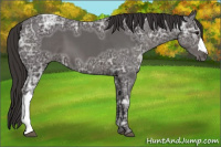 Horse Color:Smoky Black Ice 