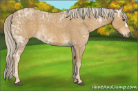 Horse Color:Palomino Ice Roan 