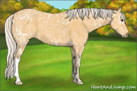 Horse Color:Silver Buckskin Ice 