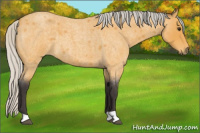 Horse Color:Silver Buckskin Roan 