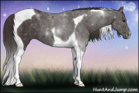 Horse Color:Smoky Black Tobiano 
