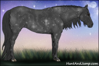 Horse Color:Blue Roan