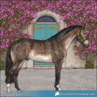 Horse Color:Brown Dun Brindle 