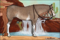 Horse Color:White Spotted Liver Red Dun Sabino Rabicano Brindle