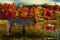 Horse Color:Void White Spotted Liver Chestnut Rabicano 