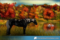 Horse Color:Void White Spotted Liver Red Dun Sabino Rabicano