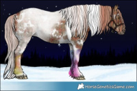 Horse Color:Plaid  White Spotted Liver Red Dun Tobiano Rabicano Brindle 