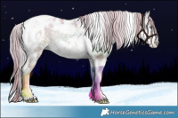 Horse Color:Plaid  White Spotted Chocolate Palomino Pearl Onyx Tobiano 