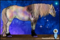 Horse Color:Void Nacre Plaid  Chocolate Palomino Onyx Sabino Tobiano Rabicano 