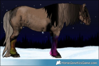Horse Color:Void White Spotted Liver Red Dun Tobiano Rabicano