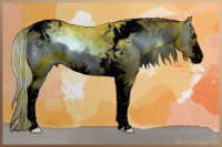 Horse Color:Void Watercolor Plaid Liver Red Onyx Sabino Tobiano