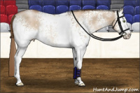 Horse Color:White Spotted Liver Red Dun Pearl Sabino Rabicano