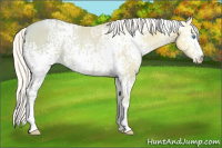 Horse Color:White Spotted Silver Buckskin Ice Pearl 