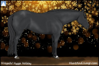 Horse Color:Black  and Black 