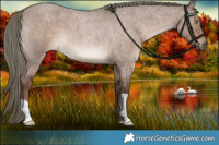 Horse Color:Liver Red Dun Roan Mushroom 