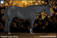 Horse Color:Black Sabino 