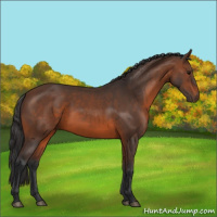 Horse Color:Brown 