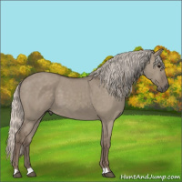 Horse Color:Silver Grullo 