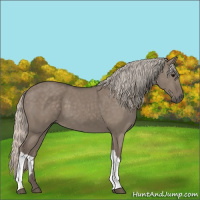 Horse Color:Silver Grullo 