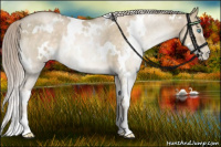 Horse Color:White Spotted Chocolate Palomino Pearl Dun