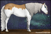 Horse Color:Silver Buckskin Roan Splash 