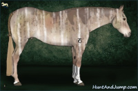 Horse Color:Liver Red Dun Ice Sabino Tobiano Brindle 