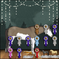 Horse Color:Smoky Grullo Splash