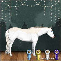 Horse Color:Perlino Dun Splash 