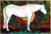 Horse Color:Smoky Creme Dun Splash 