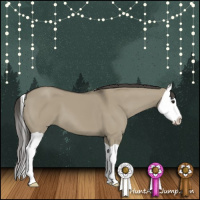 Horse Color:Smoky Grullo Splash 