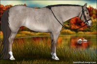 Horse Color:Liver Red Dun Roan Rabicano 