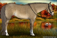 Horse Color:Chocolate Palomino Roan Dun 