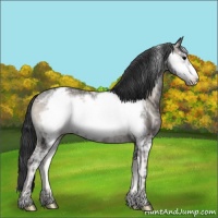 Horse Color:Blue Onyx Ice Frame Appaloosa