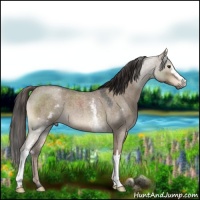 Horse Color:White Spotted Liver Red Dun Roan
