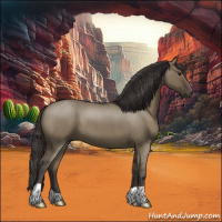 Horse Color:Smoky Grullo Roan 