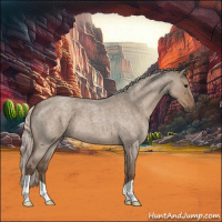 Horse Color:Silver Grullo Roan 