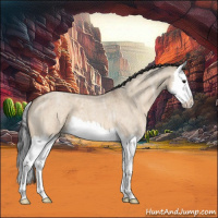 Horse Color:Bay Ice Roan Dun Splash