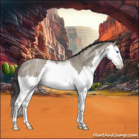 Horse Color:Smoky Grullo Ice Roan Splash